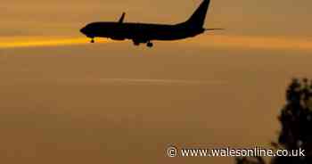 Warning issued to holidaymakers over rise in cases of Victorian disease