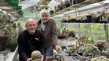 1000 Exemplare daheim: Das steckt hinter dem Hobby dieses Peiners