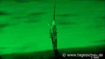 Würmchen bauen Türmchen - um zu überleben