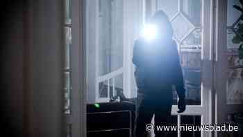 Beveiligingscamera merkt verdachte figuur op in Hechtel