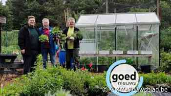 Volkstuintjes in Oudsbergen openen de deuren: “Iedereen wil verse aardbeien of rode bieten op het menu”