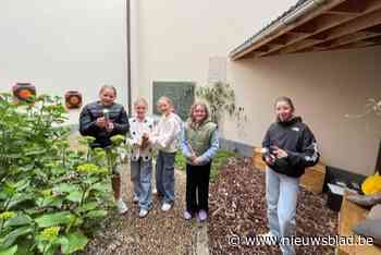 Basisschool bouwt samen met leerlingen binnenpleintje om tot eiland