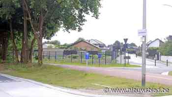 Bomen langs Peltse fietssnelweg gekapt omdat ze zicht belemmeren