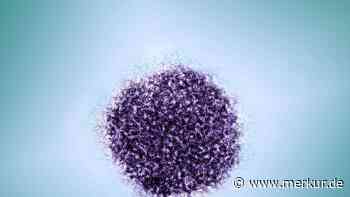 Männer infizieren sich in Bayern mit seltenem Borna-Virus: das ist über Ansteckung und Verlauf bekannt