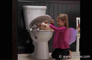 A summer-ready home begins with ToiletKing – A convenient and affordable toilet replacement service