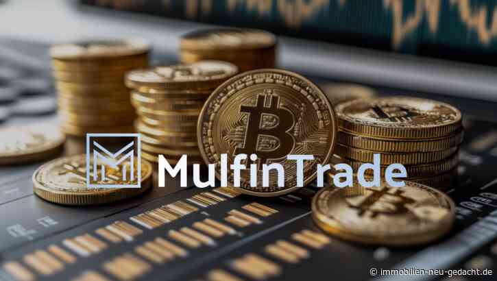 Mulfin Trade: Ein moderner Ansatz und unterstützende Begleitung