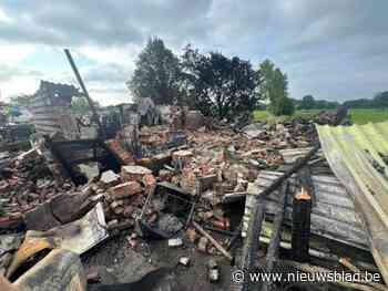 Hoeve van Frans (72) brandt volledig uit in Nieuwmoer: “Hij is alles kwijt, gelukkig heeft hij zijn hondje nog”