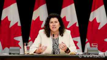 Auditor general finds long delays in Indian status application process