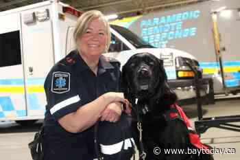 Paramedic facility dog Neely a ‘heart melter’