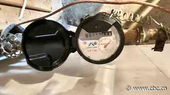 New water meters coming to Winnipeg next year will read themselves, send data to the city