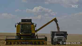 Europas Bauern als Sieger: Die EU führt gegenüber der Ukraine wieder Quoten ein