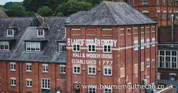 Dorset Beer Festival returns with 50 beers and live music
