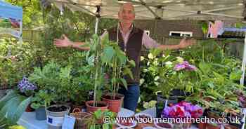 Museum's garden fete returns for 'unmissable' day out