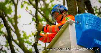 Power network operator announces £25 million investment