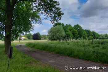 Gents natuurgebied wordt aangenamer voor wandelaars: “We maken een dreef toegankelijk voor het publiek”