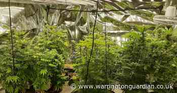 Cannabis farmer set up second drug grow after being caught red-handed by police