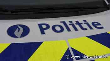 Inbrekers beschadigen deur van auto maar druipen zonder buit af