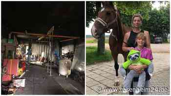 Pferdehof in Eiselfing: Nach zweitem Brand in sieben Jahren – „Die Erinnerungen haben uns eingeholt“