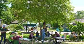 New Forest Thrive festival to celebrate nature and community