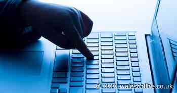 Ofcom investigates 4chan and porn site over suspected child safety breaches