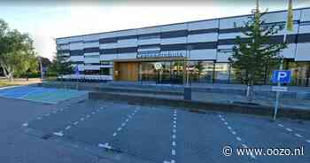 Kunstenaars fel tegen oude beelden in parkje gemeentehuis Waddinxveen: ‘Totaal ongeschikt voor buite