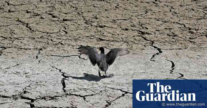 Drought fears in Europe amid reports May was world’s second hottest ever