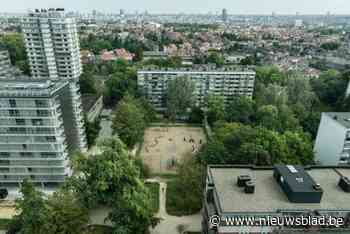 Ongeziene politieactie aan de gang in beruchte Peterboswijk in Anderlecht, honderden agenten ingezet