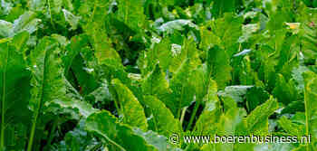 Duitse boeren vrezen enorme opbrengstverliezen