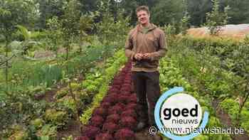 Jef (38) gooide zijn leven om en werd bioboer in Lillo: “Ik lever zelfs aan vier toprestaurants”