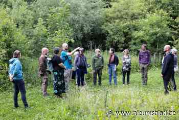 Regionaal Landschap Brabantse Kouters viert 20 jaar natuur- en landschapsprojecten: “Meer dan 400.000 bomen en struiken aangeplant”