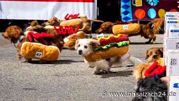 Wiener-Rennen und Bierfässer-Rollen: Das größte Oktoberfest in den USA hat seinen eigenen Style
