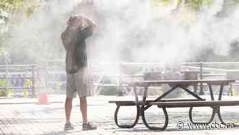 Quebecers are in for a hotter-than-average summer, Environment Canada forecasts