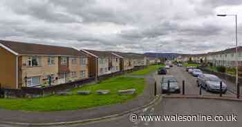 Man arrested on suspicion of murder after death of woman in Welsh village