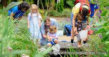 New species of creatures and plants found in Olympic Park