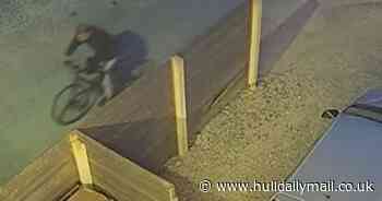 CCTV footage released after suspected arson in Hull garden