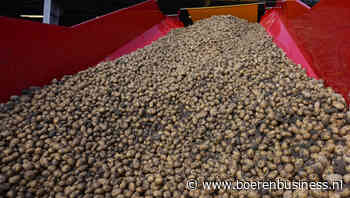 Duitsland als troefkaart van de aardappelindustrie