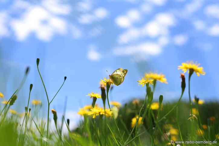 30-Grad-Marke wird vielerorts in Bayern geknackt
