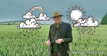 Über Sinn und Unsinn von Bauernregeln: Das sagt ein Landwirt dazu