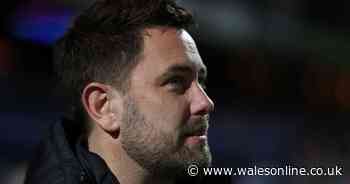 Clear Cardiff City manager favourite emerges after double setback