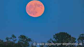 Besonderes Himmelsereignis: Wann der "Erdbeermond" in Bayern zu sehen ist