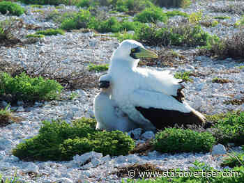 Suit filed over lack of transparency on rocket testing plans at Johnton Atoll