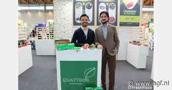 Stabiele markt voor Siciliaanse druiven