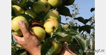 NFO kritisch over wetsvoorstel aanpassing minimumloon