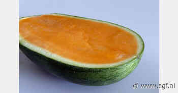 "Oranje watermeloen heeft hogere Brix"