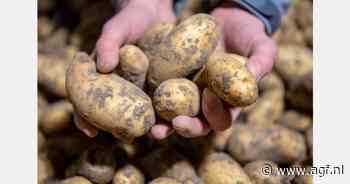 "Collectief problemen aanpakken én oplossen"