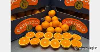 "Dilemma voor na-oogstbehandeling overzees citrus"