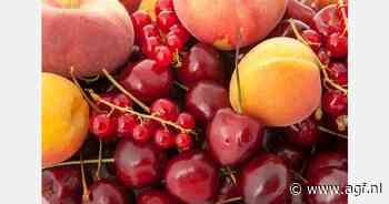 Plukseizoen op biologisch fruitbedrijf gestart