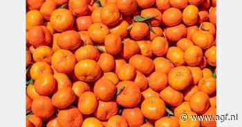 Indiase markt verstoord door overaanbod Zuid-Afrikaanse mandarijnen en peren