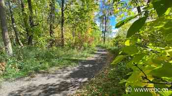 Permits allowing guns, ATVs in backcountry are unfair as the public stays barred: Whiteshell cottager