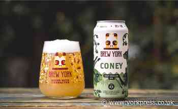 Top York-made beer on sale in leading national supermarket chain